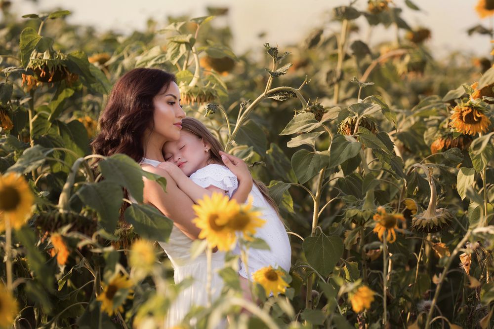 Sunflowers in September. Подсолнухи в сентябре