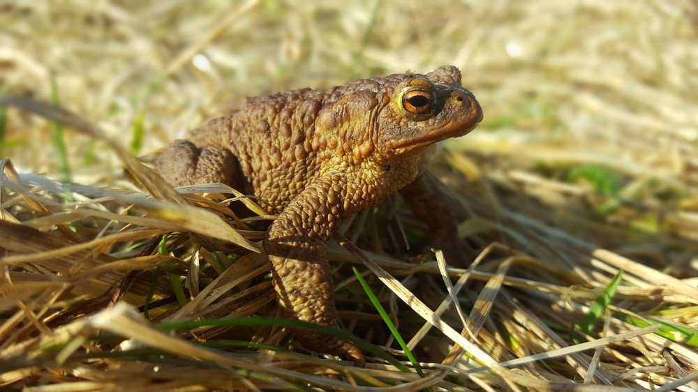 Поцелуй меня...