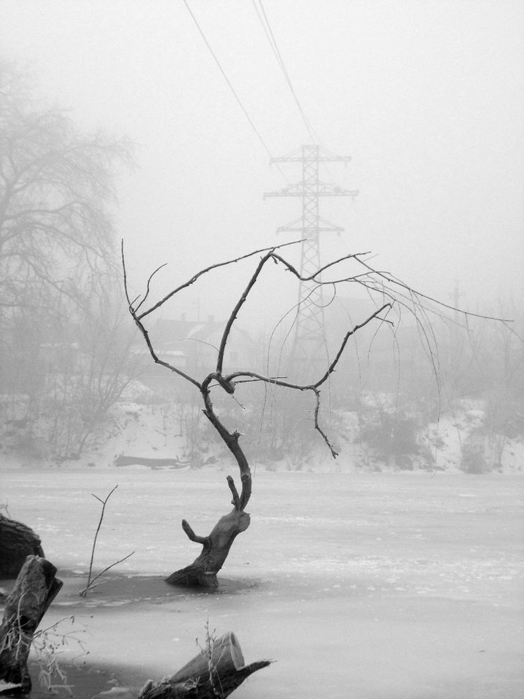 застывшее приветствие...