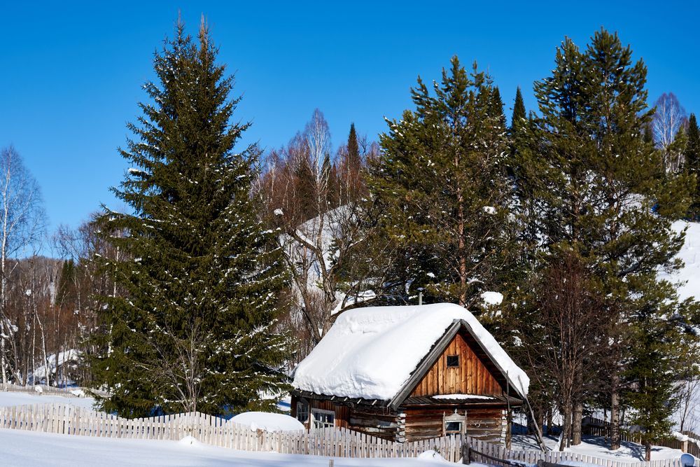 Лесная заимка