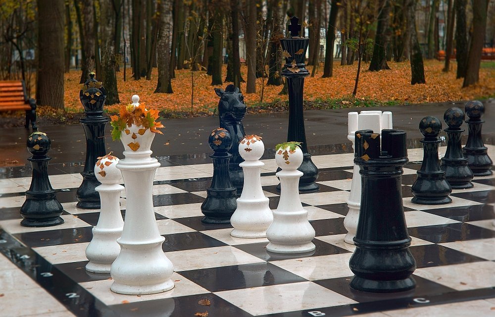 А ведь у них баталии!