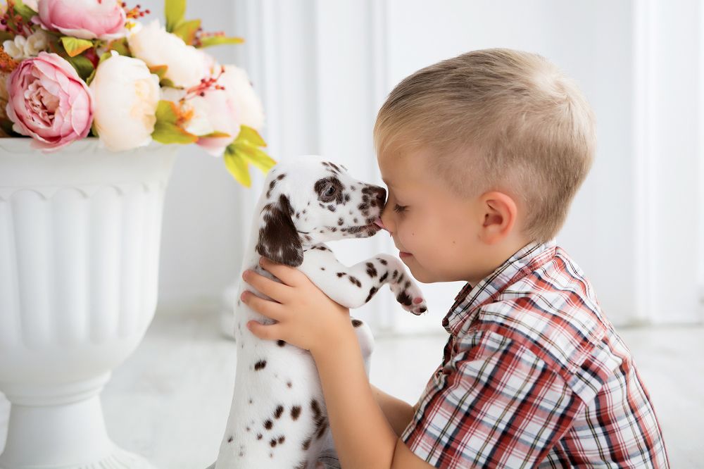 пятнистое счастье