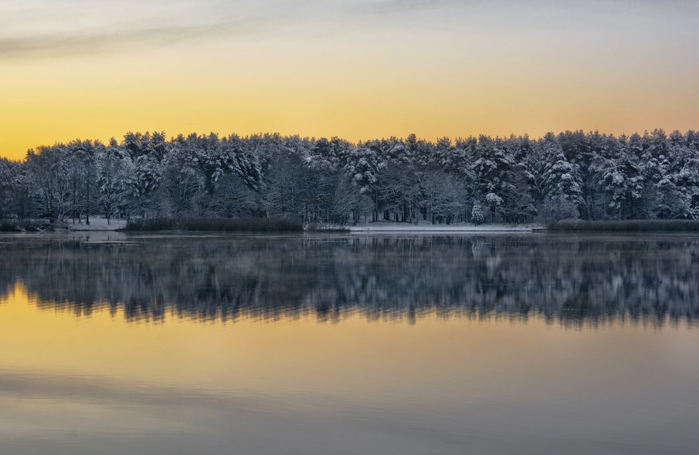 Жёлтым по белому.