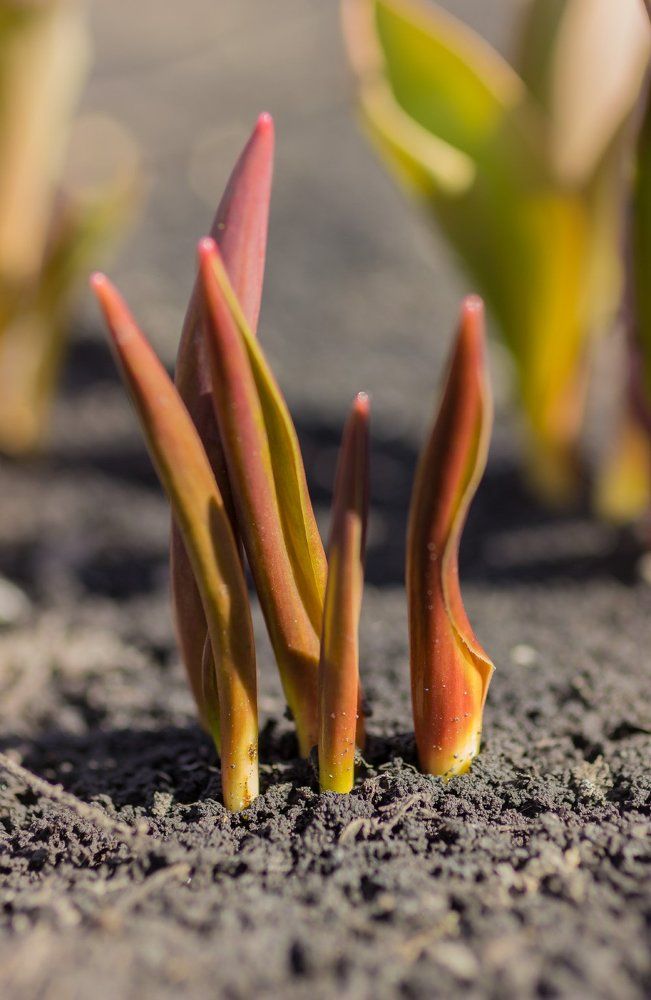 Photograph by Victor Pruhnitskiiy