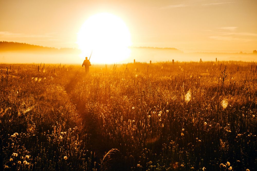 Ловец солнца