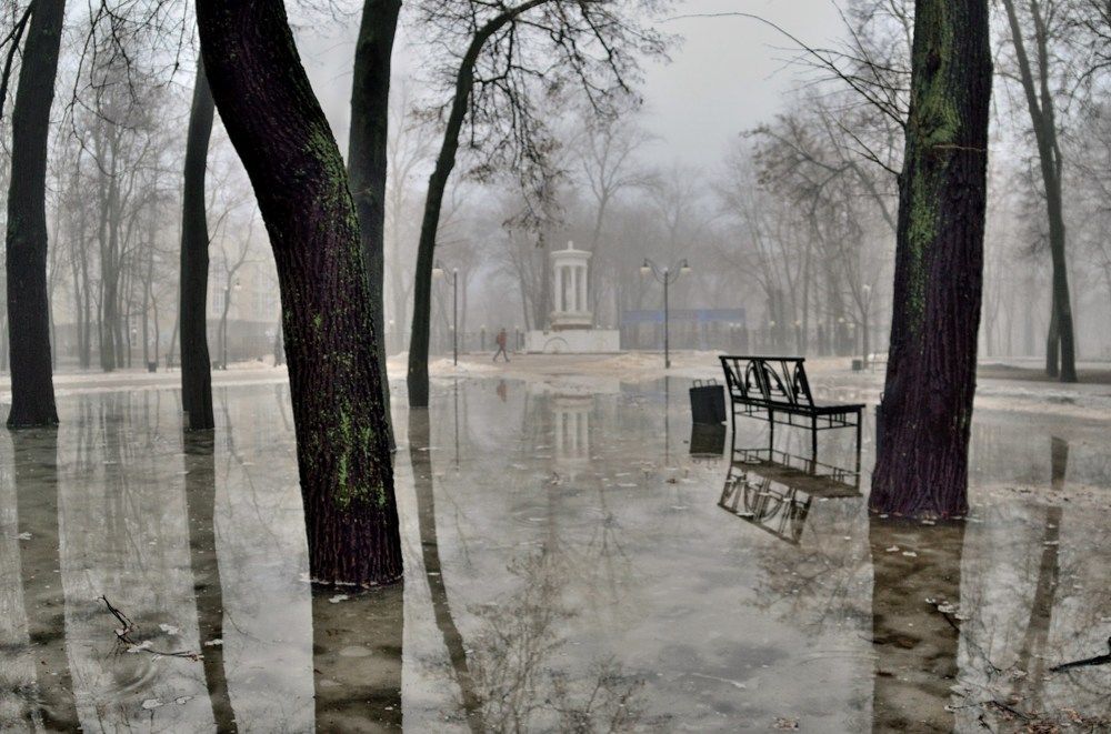 Туманное утро в Детском парке