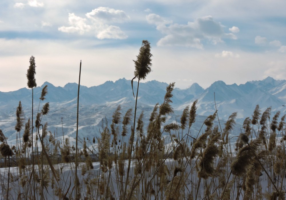 Photograph by Елизавета Шалемова