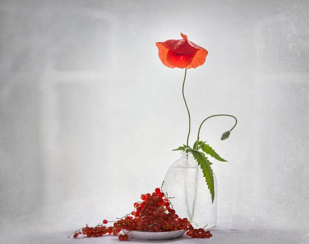 Акценты притяжения...