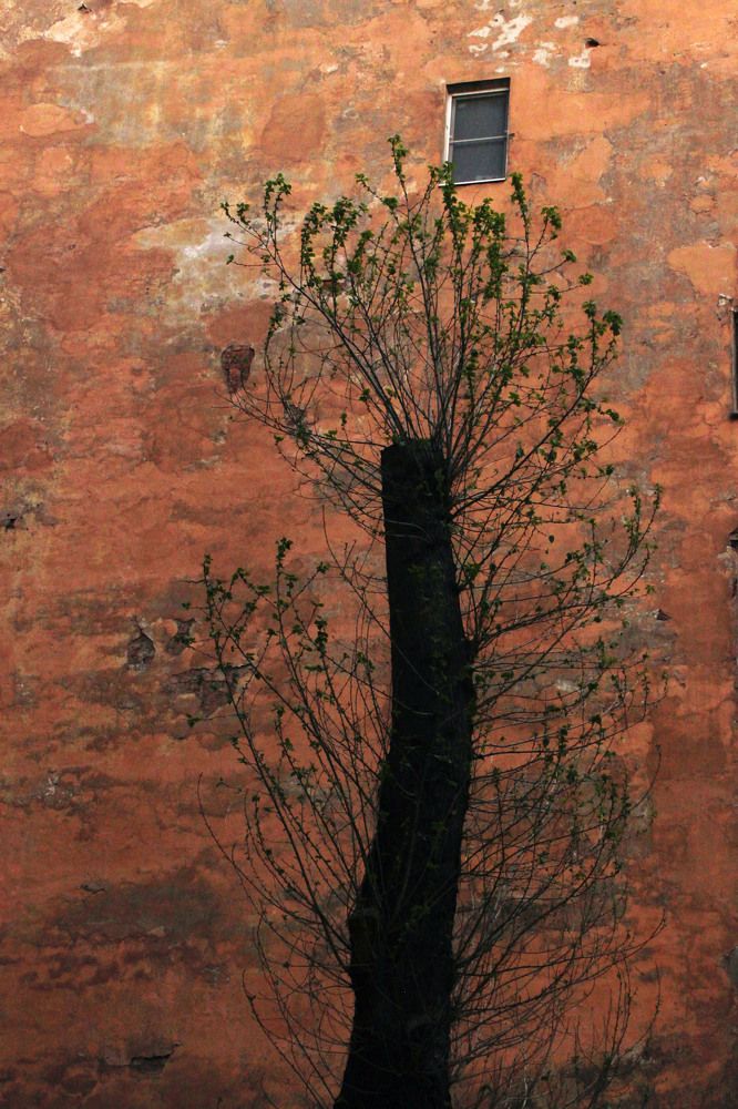 Photograph by Наталья