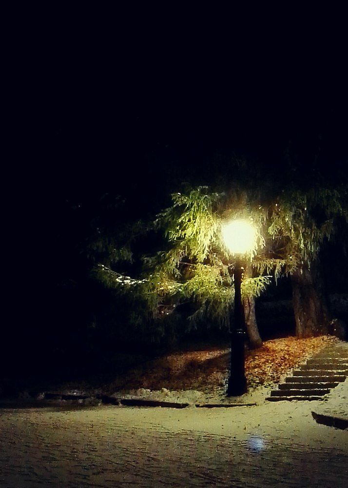 Photograph by Светлана Терехова