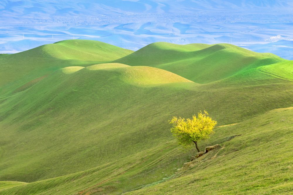 Там за холмами океан