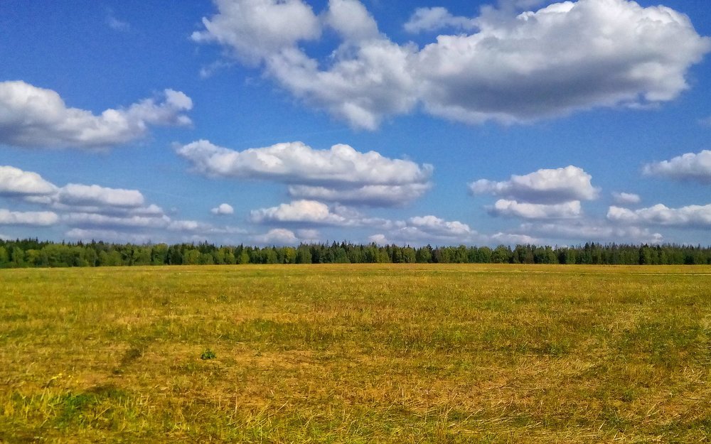 sunny day