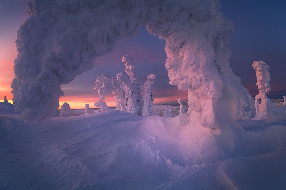 Спящие драконы Рииситунтури