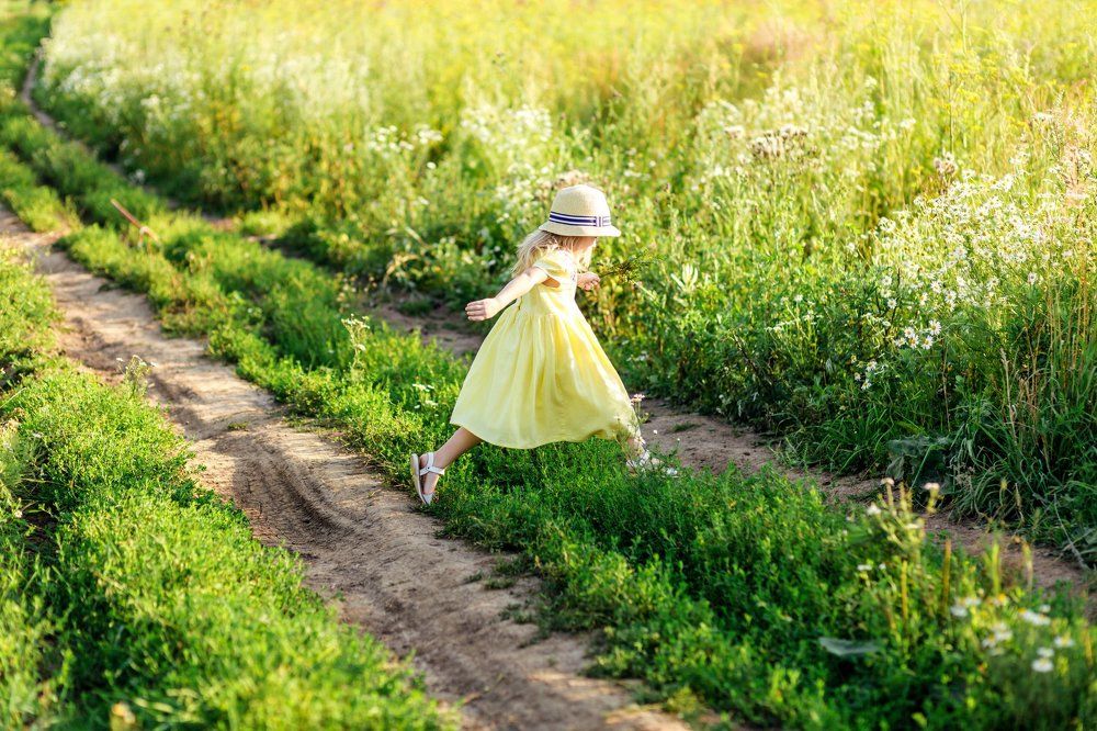 в погоне за кроликом