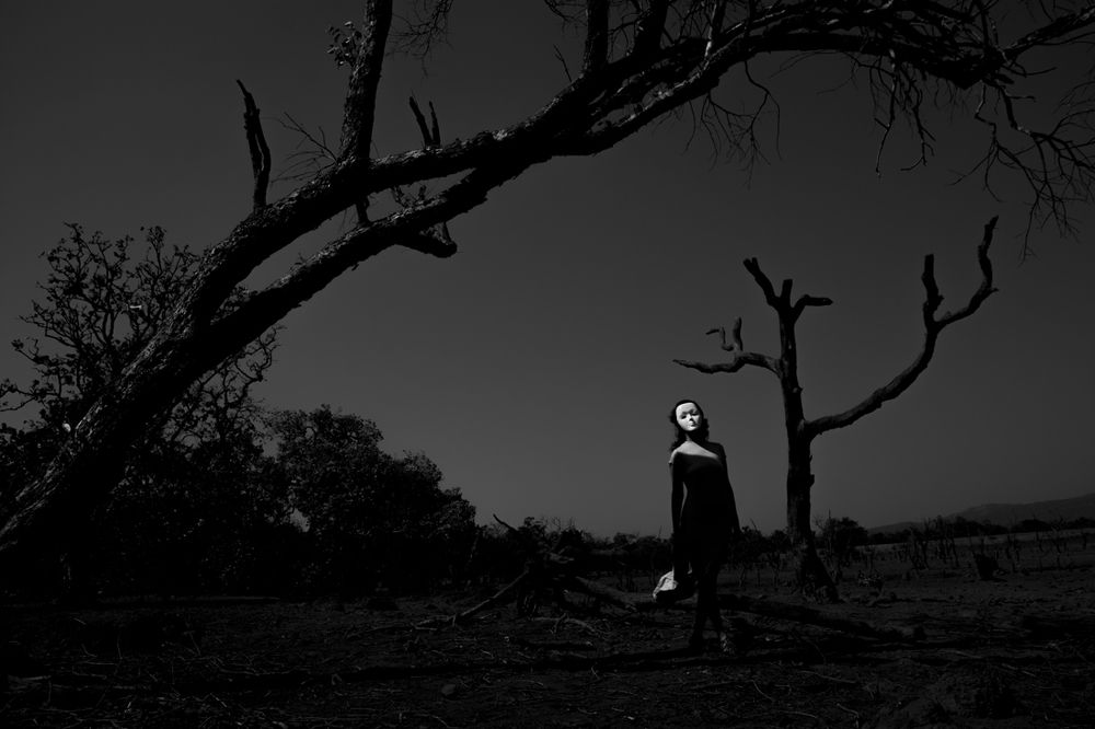 Photograph by Dattaram Gawade