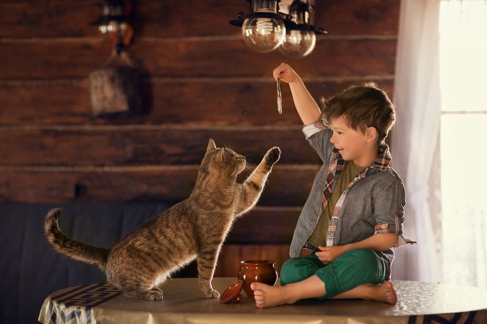 Ловись, рыбка!