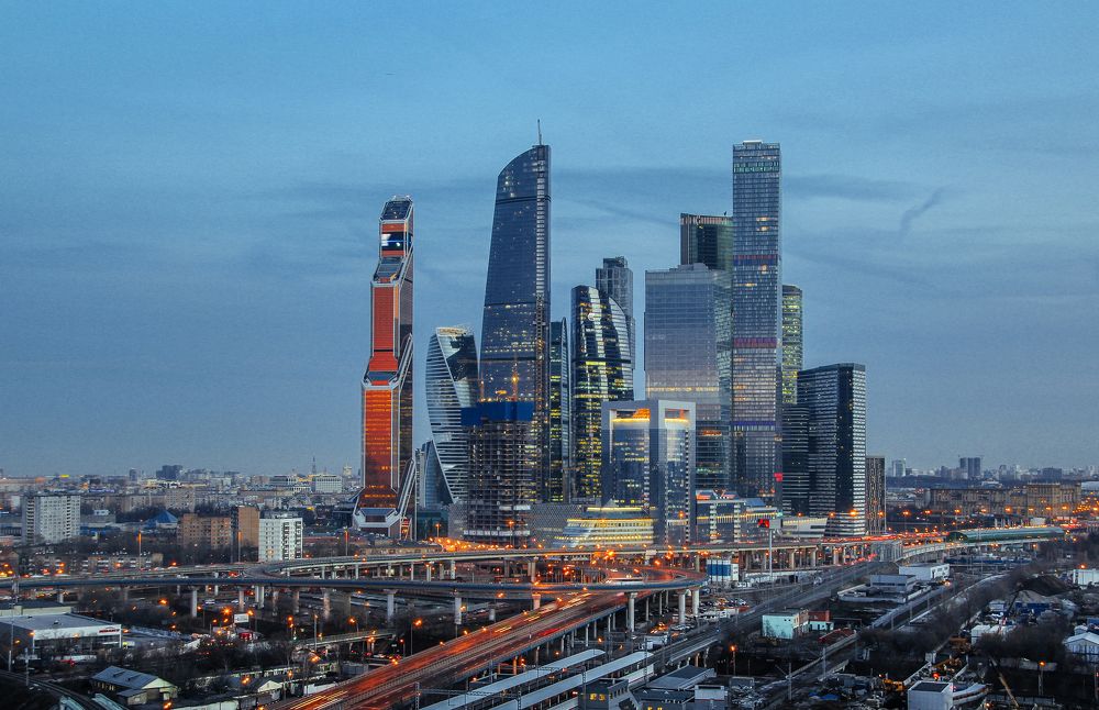 Московские грибы