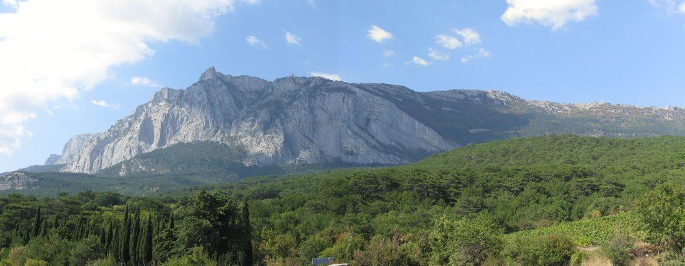 Лес у горы Ай-Петри