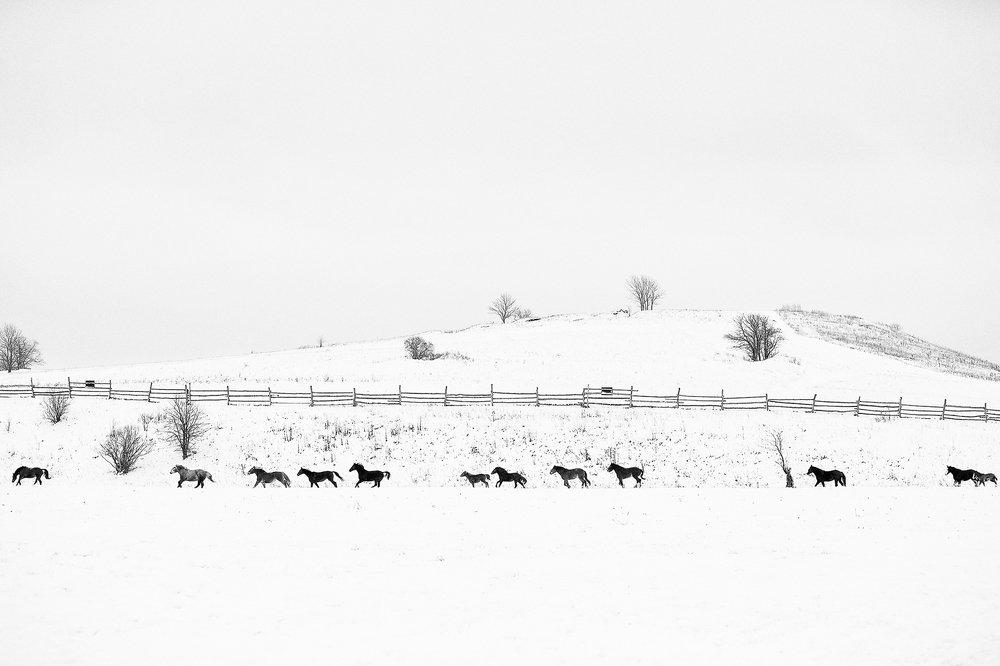 Двенадцать...