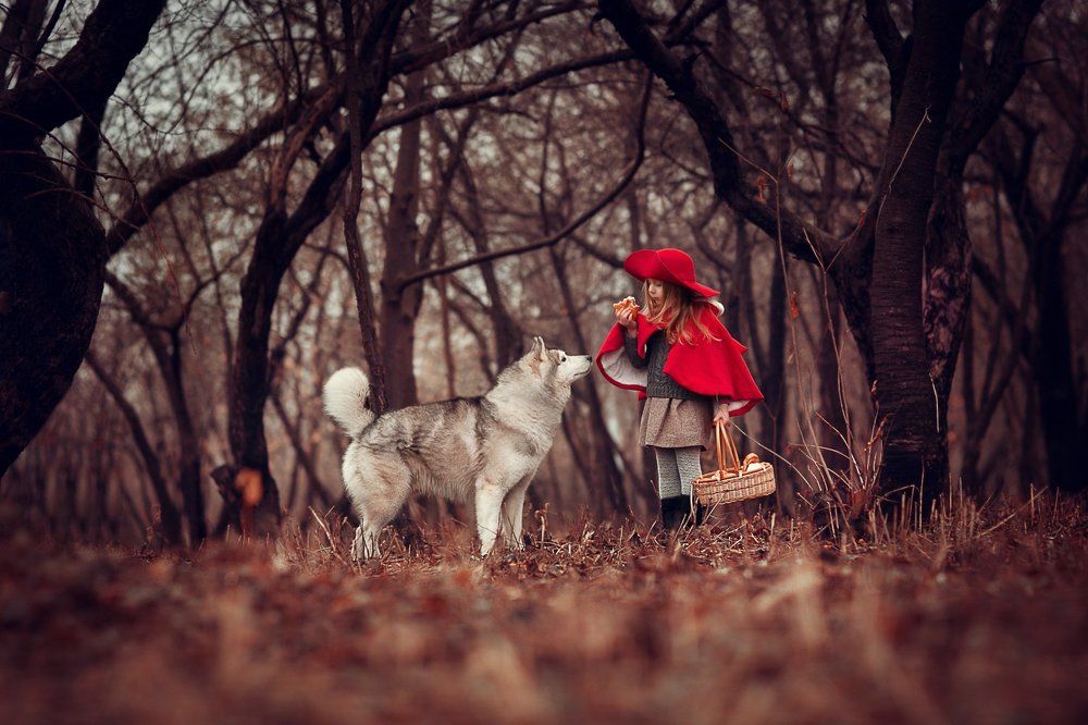 Photograph by Анна Ипатьева