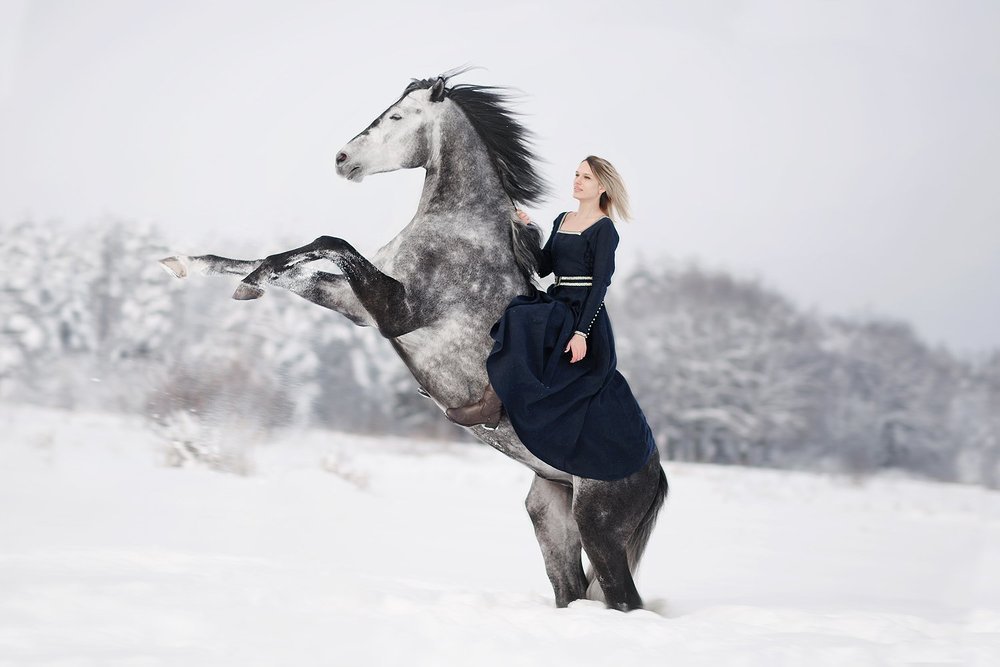 Зимняя сказка