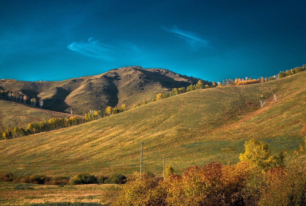 Мягкие поля