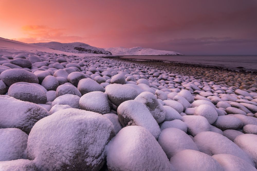 Клюква в сахаре