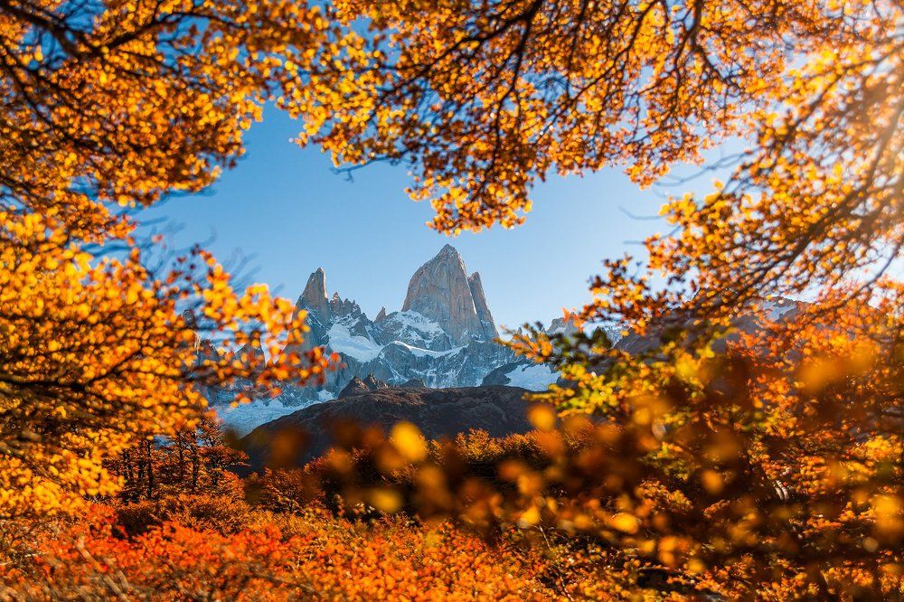 Золото Патагонии