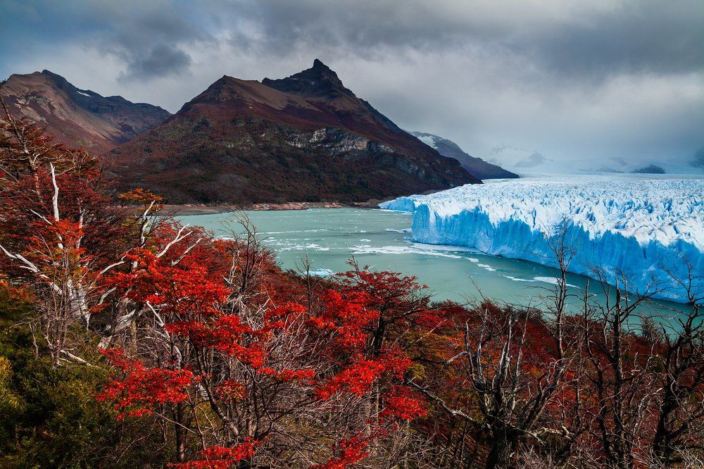 Лед и пламя