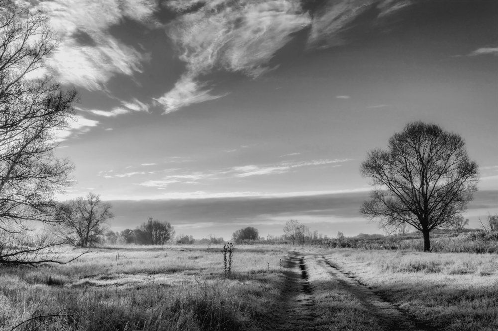 Свет утренней зари..