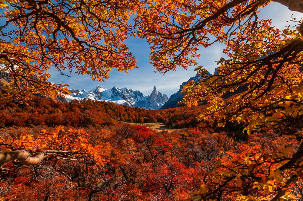Серро Торре, лед и пламя