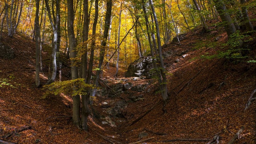 Крымская осень