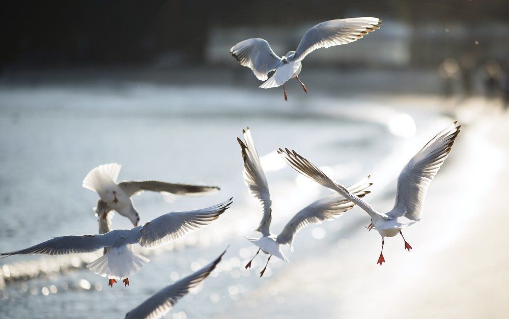 Transience of the moment