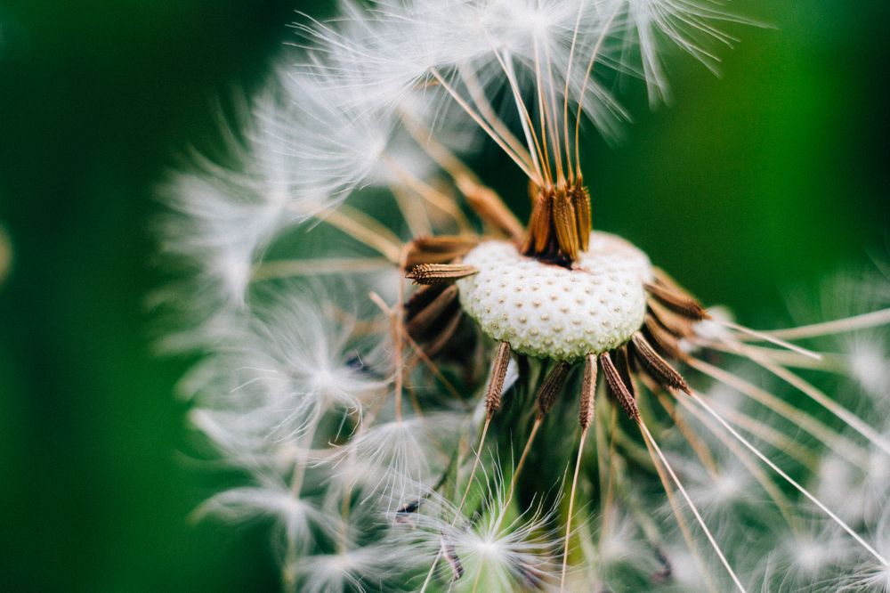 Неизбежный полёт