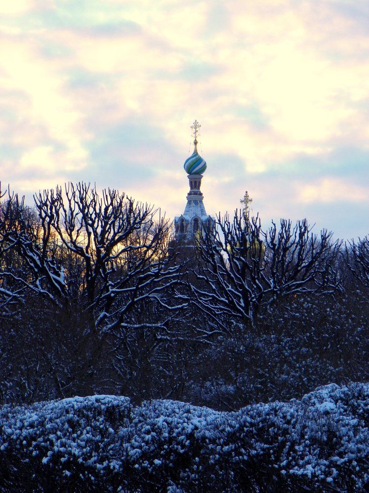 Winter Saint-Petersburg