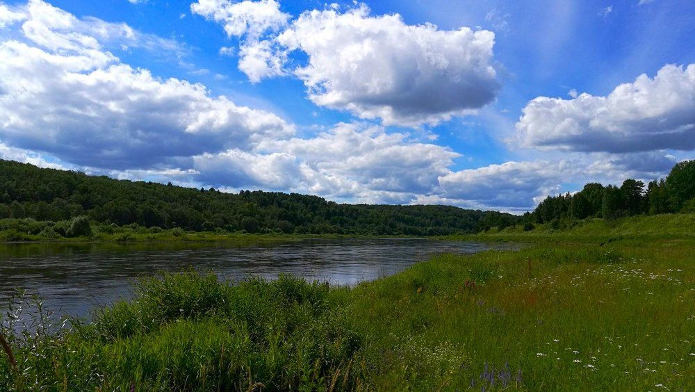 р Волга д Гольшино