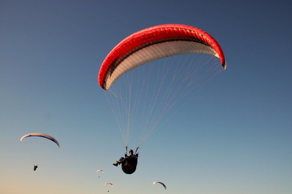 Paraplane pilots