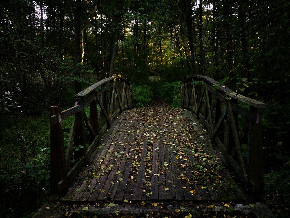 Осенний мост