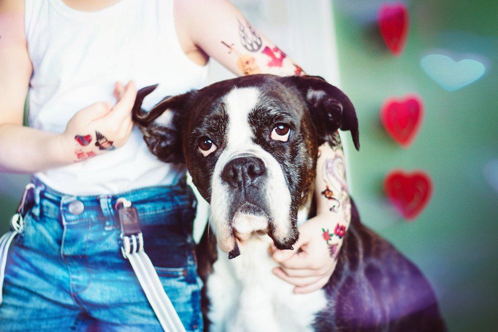 my valentine has fur!