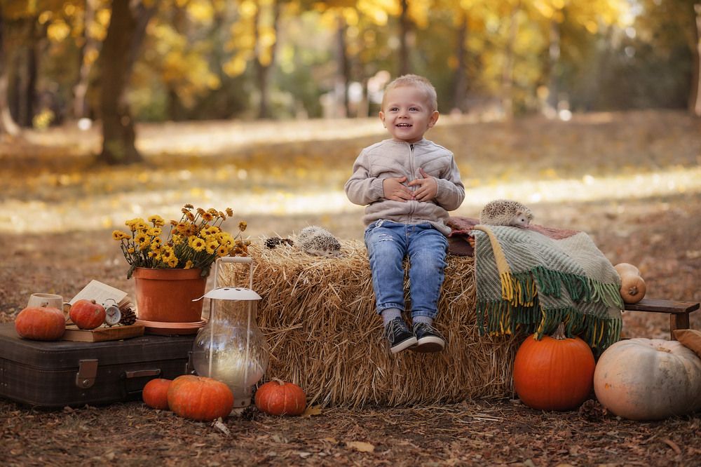 Уютная осень