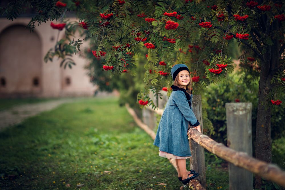 Рябина красная