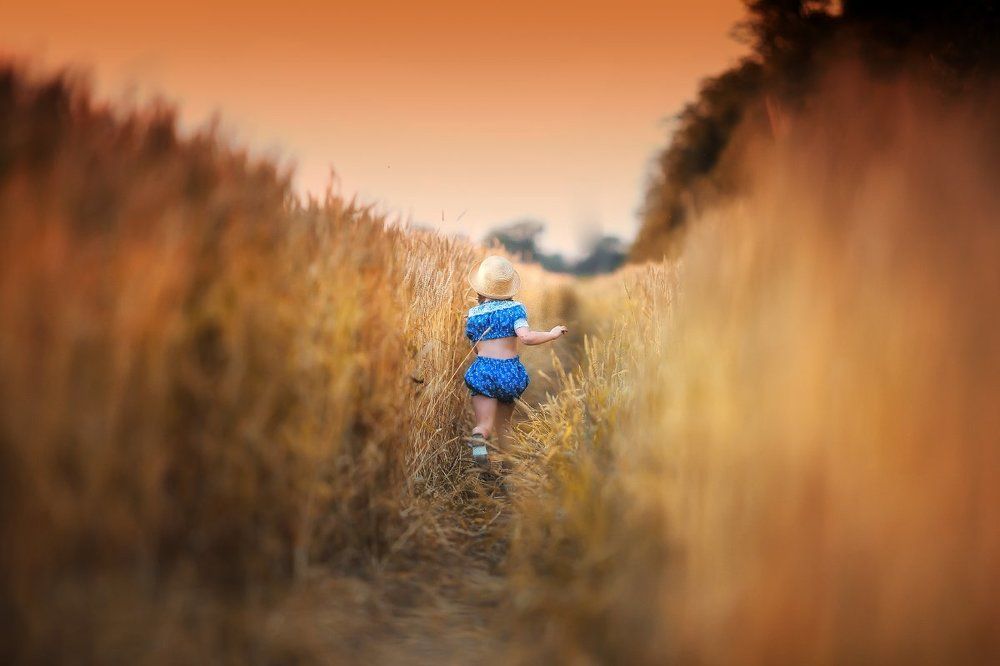 Когда деревья были большими