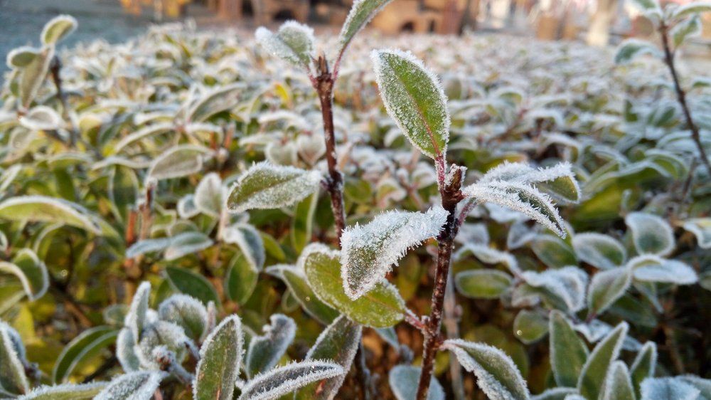 Фотография автора Александр Федоренко