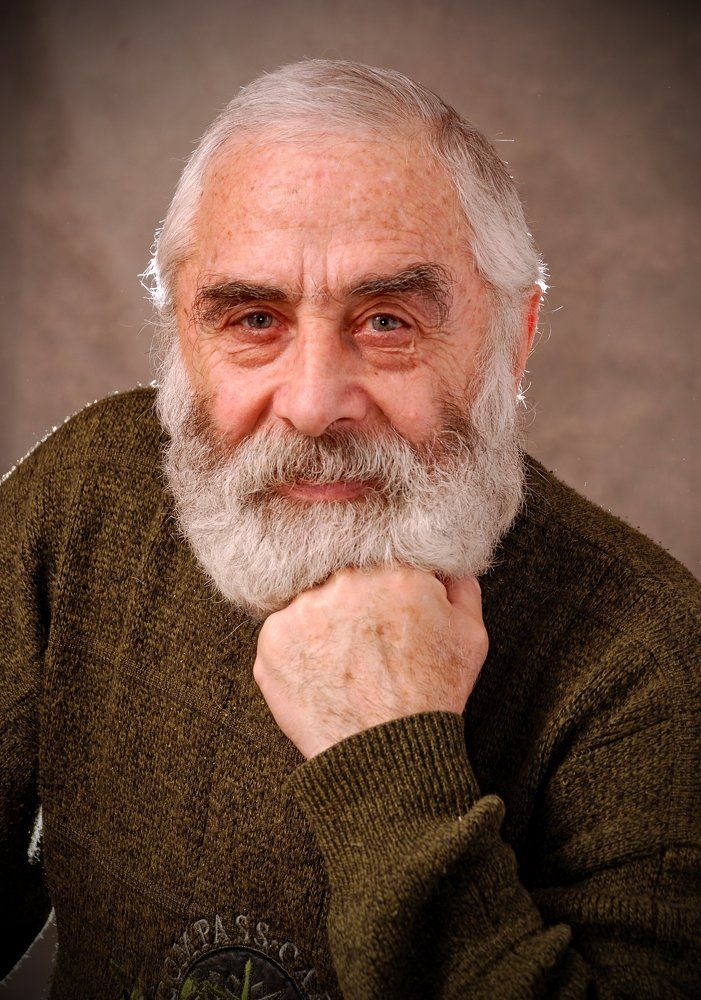 Портрет художника