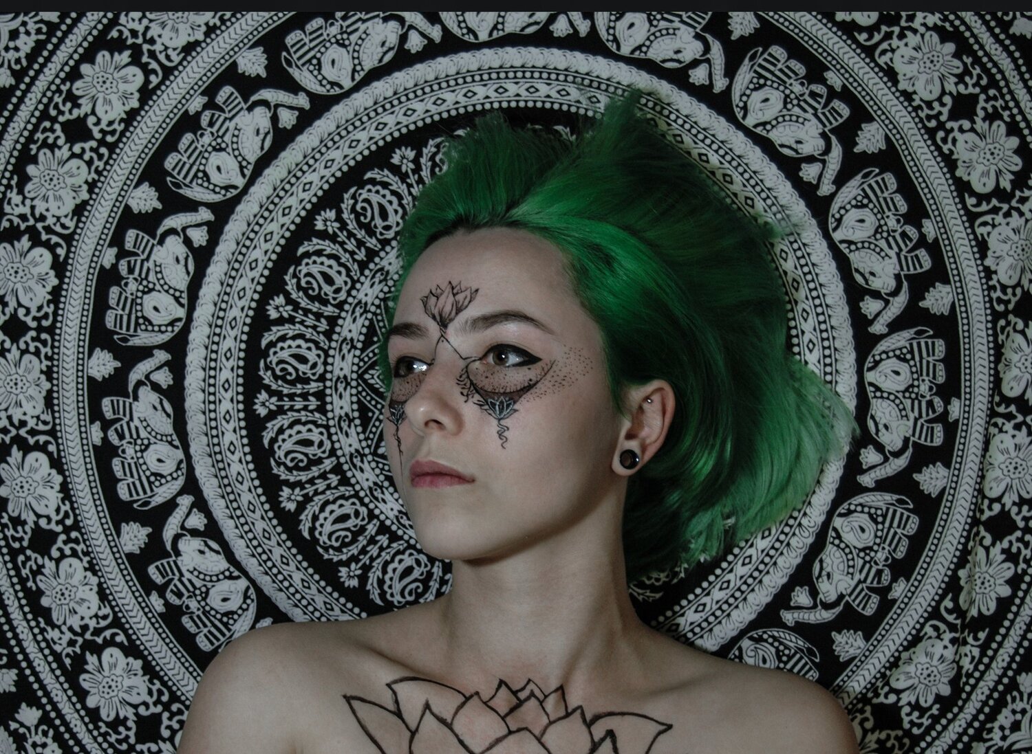 Photo #2203902