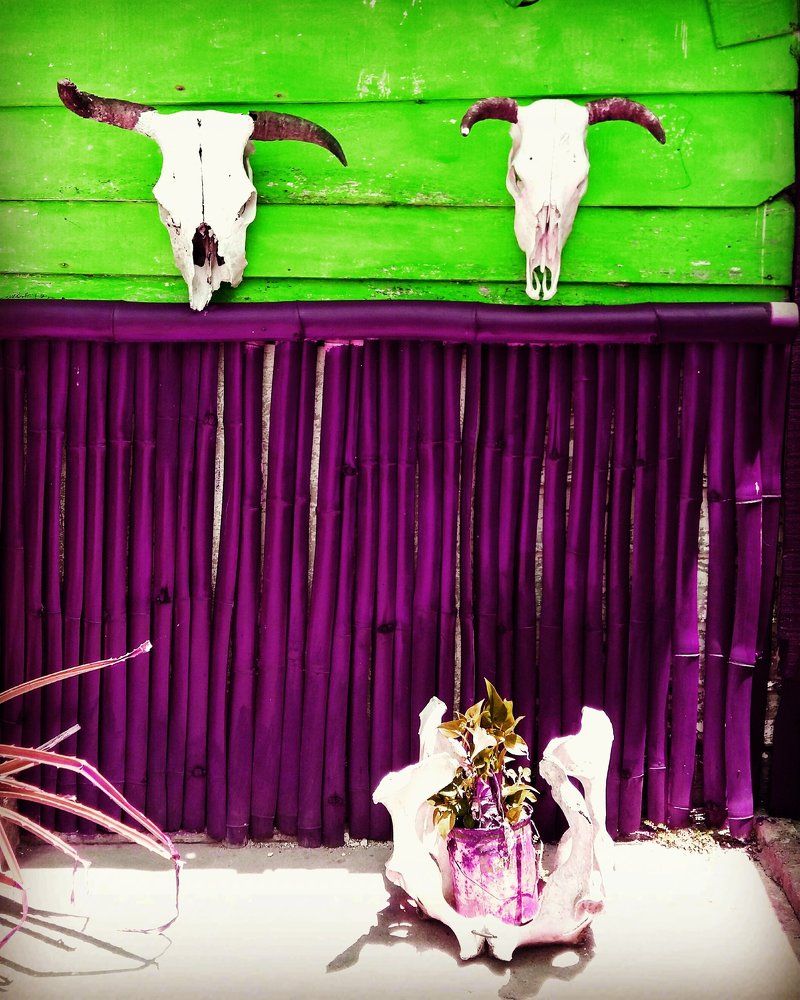 Отголоски прошлого