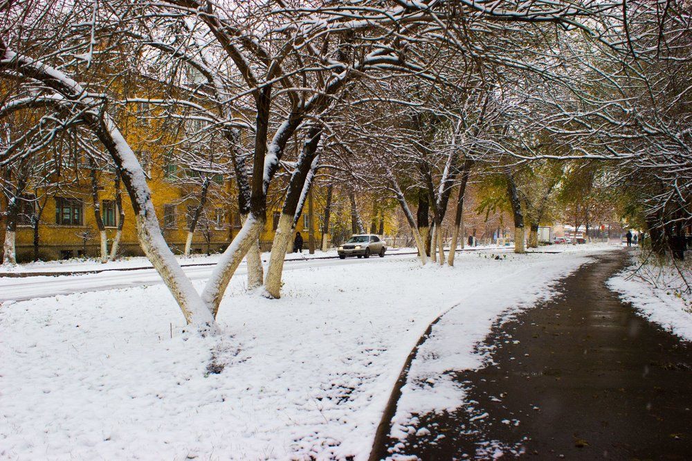 Зимняя сказка