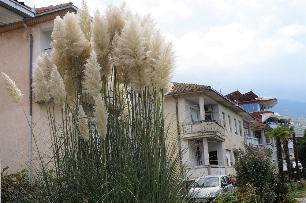 Photograph by Алия Байсыкова