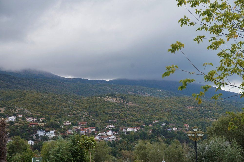 Photograph by Алия Байсыкова