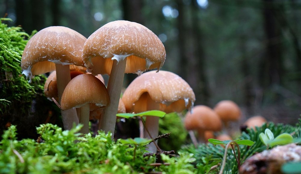 Фотография автора Valery Bel@kov